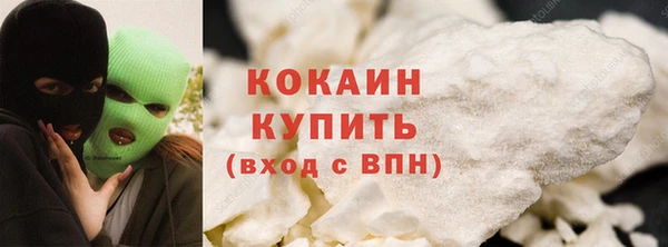 дживик Абинск