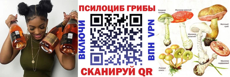 Галлюциногенные грибы мицелий  МЕГА tor  Инза 